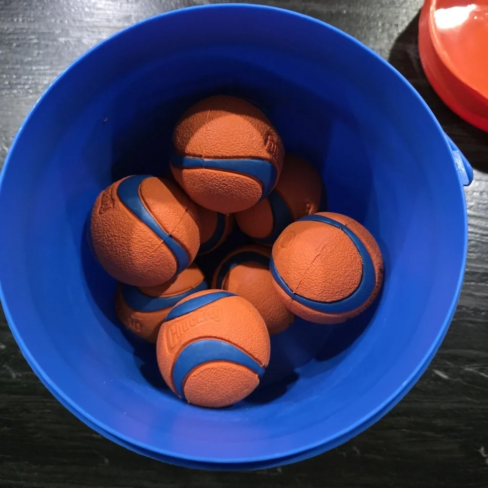 Chuckit! Ultra Ball Dog Toy Cleaning Bucket Medium 8-Pack Orange Blue 2.25